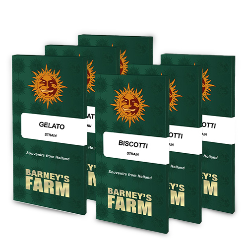Barney's Farm Seeds Wholesale for UK & Ireland