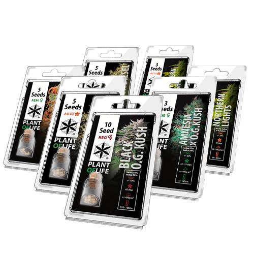 Plant of Life Seeds Wholesale for UK & Ireland
