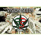 Vision Seeds: Wholesale Feminised & Autoflower Seeds