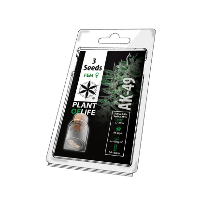 Multi-I 3PAK Cannabis Seeds - 3 Seeds