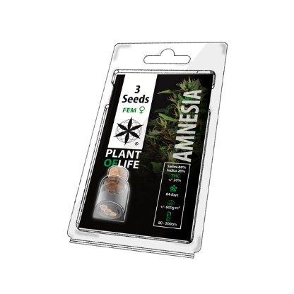 Multi-I 3PAMN Feminised Autoflowering Seeds 3-Pack