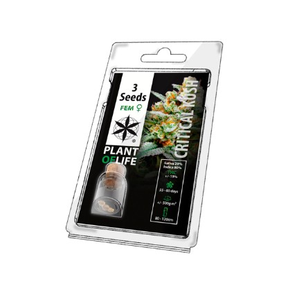 Multi-I 3PCK Plant of Life Seeds (3 Seeds)