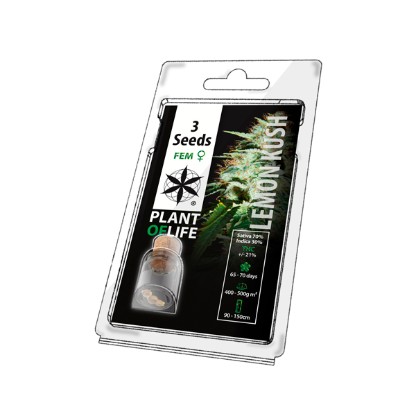 Multi-I Plant of Life Seeds 3PLK (3 Seeds)