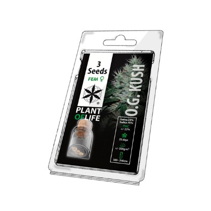 Multi-I 3POG Feminised Cannabis Seeds for Resale