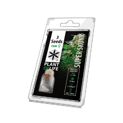 Multi-I 3PSS Feminised Seeds for Resale