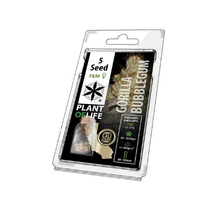 Multi-I Plant of Life 5PGBU Feminised Seeds