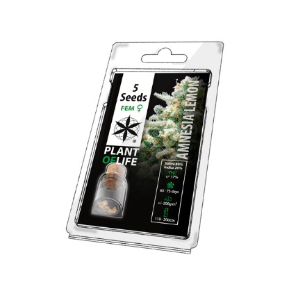 Multi-I Plant of Life Feminised Autoflowering Seeds 5-Pack
