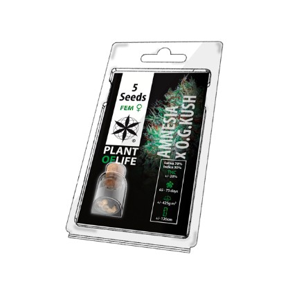 Multi-I Plant of Life 5 Cannabis Seeds Wholesale
