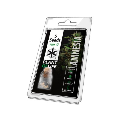 Plant of Life Amnesia - 5 Feminised Cannabis Seeds
