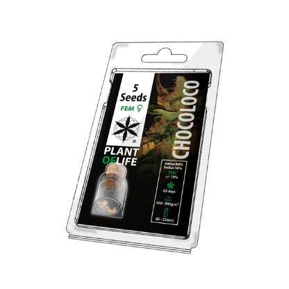 Multi-I 5PCHOCO Feminised Cannabis Seeds 5-Pack