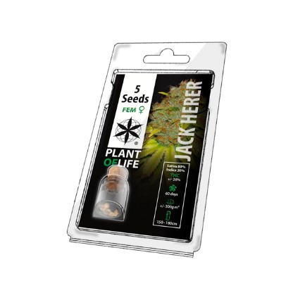 Multi-I 5PJACK 5 Seeds – Wholesale EU Supply