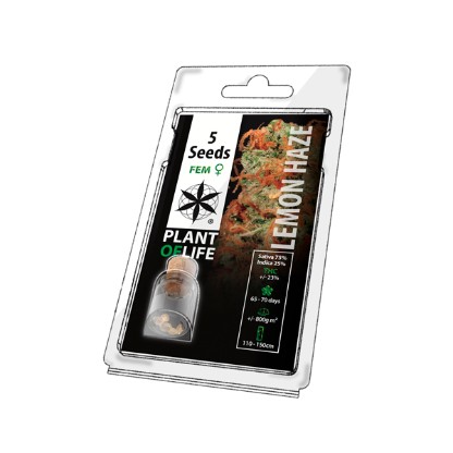 Multi-I 5PLH: Premium Seeds for Wholesale UK & IE