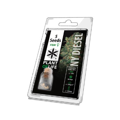 Multi-I 5PNYD Plant of Life Seeds (5 Feminised)