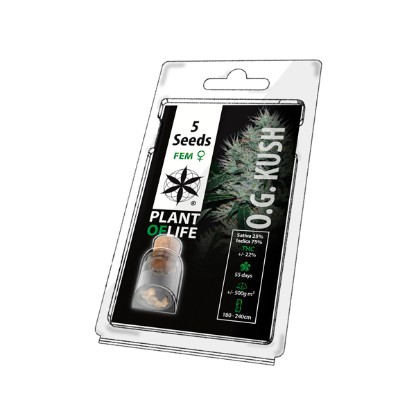 Plant of Life OG Kush Feminized Seeds - 5 Pack Wholesale