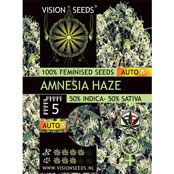Multi-I Vision Seeds Feminized Cannabis Seeds 5VAMNA