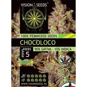 Vision Seeds Chocoloco Feminized Sativa 5 Seeds Pack