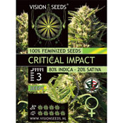 Multi-I Vision Seeds 3VCRITICAL Feminized Seeds