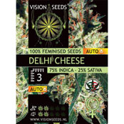 Vision Seeds Delhi Cheese Autoflowering Feminized - 3 Seeds