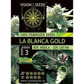 Multi-I Vision Seeds Feminized Cannabis Seeds 3VLBG