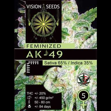 Multi-I Vision Seeds 5VAK Feminized Cannabis Seeds