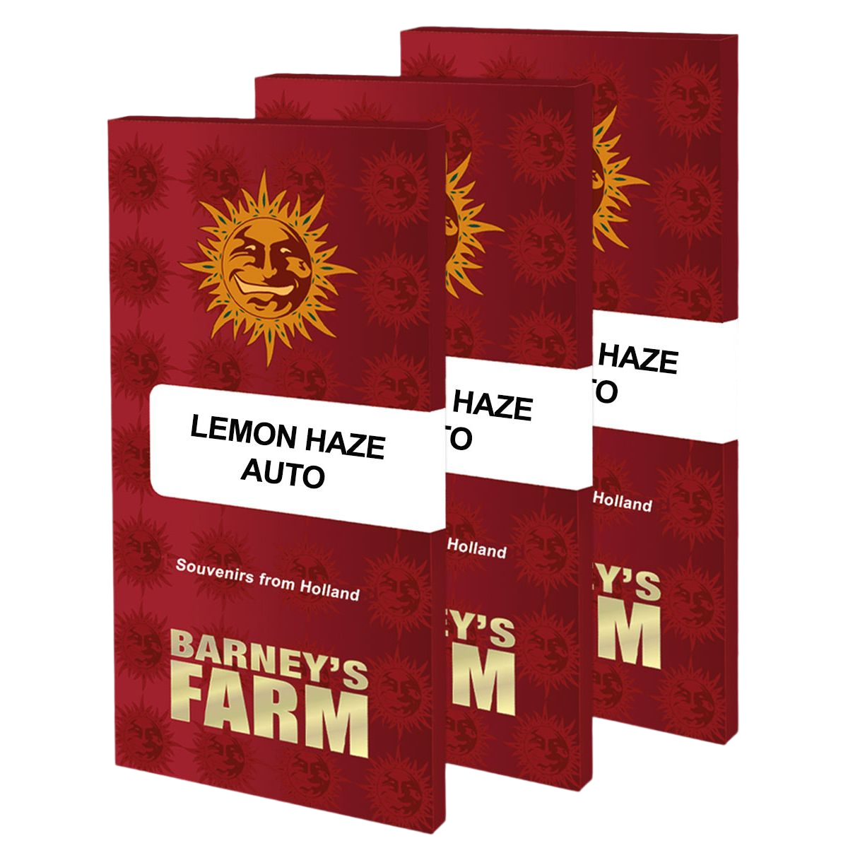 Multi-I Barney's Farm 3BLEA Feminized Cannabis Seeds