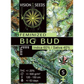 Multi-I Vision Seeds Feminized Cannabis Seeds 5VBB