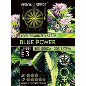 Vision Seeds Blue Power Feminized - 3 Seeds Wholesale