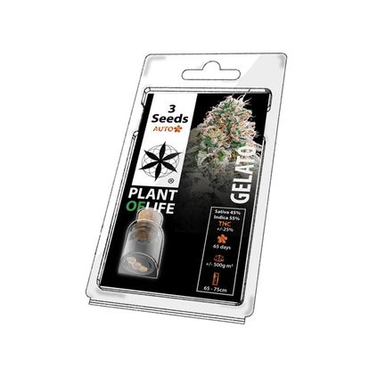 Multi-I 3PGA Feminised Seeds - Bulk Wholesale