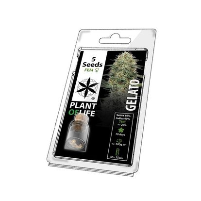 Multi-I 5PG: Plant of Life Feminised Seeds 5-Pack