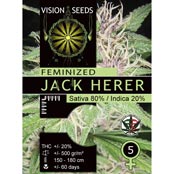 Multi-I Vision Seeds 5VJACK Feminized Cannabis Seeds