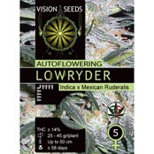 Multi-I Vision Seeds Feminized Cannabis Seeds 5VLRA