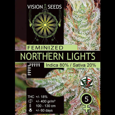 Multi-I Vision Seeds Feminized Cannabis Seeds 3VNL
