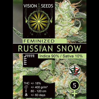 Multi-I Vision Seeds 3VRUSSIAN Feminized Cannabis Seeds