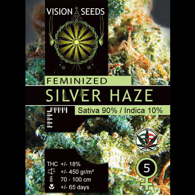 Multi-I Vision Seeds Feminized Cannabis Seeds 3VSILVER