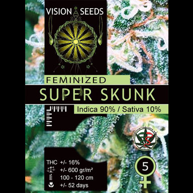 Multi-I Vision Seeds Feminized Cannabis Seeds 3VSS
