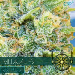 Multi-I Vision Seeds 3VMEDICAL Feminized Cannabis Seeds