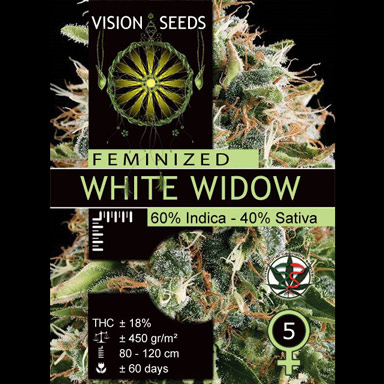 Multi-I Vision Seeds Feminized Cannabis Seeds