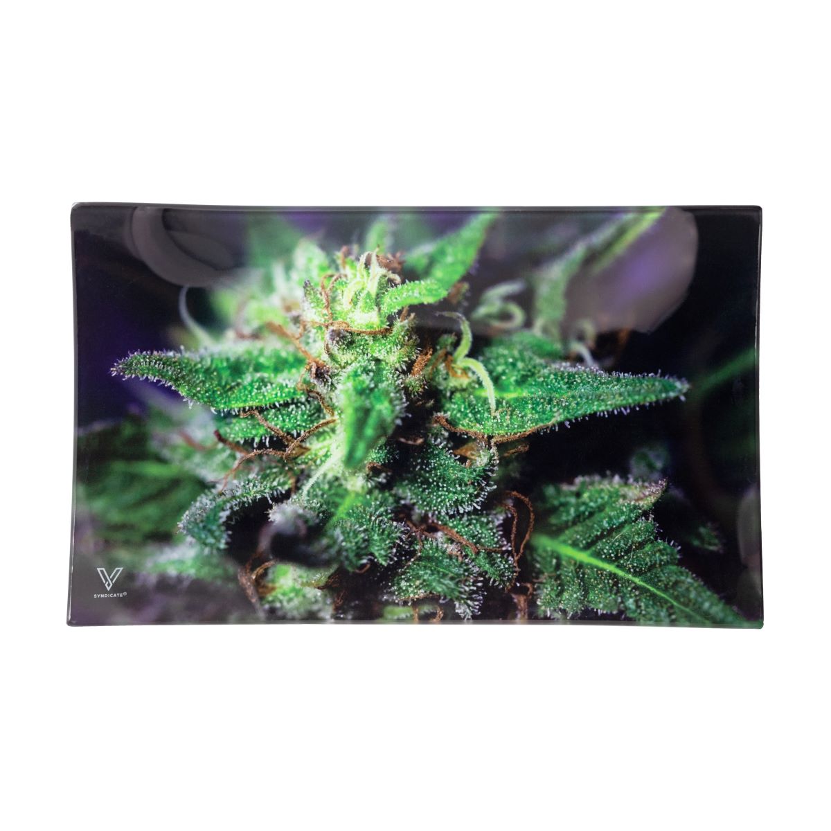 85% DISCOUNT - V-SYNDICATE GLASS ROLLING TRAY LARGE "BLUE DANK"