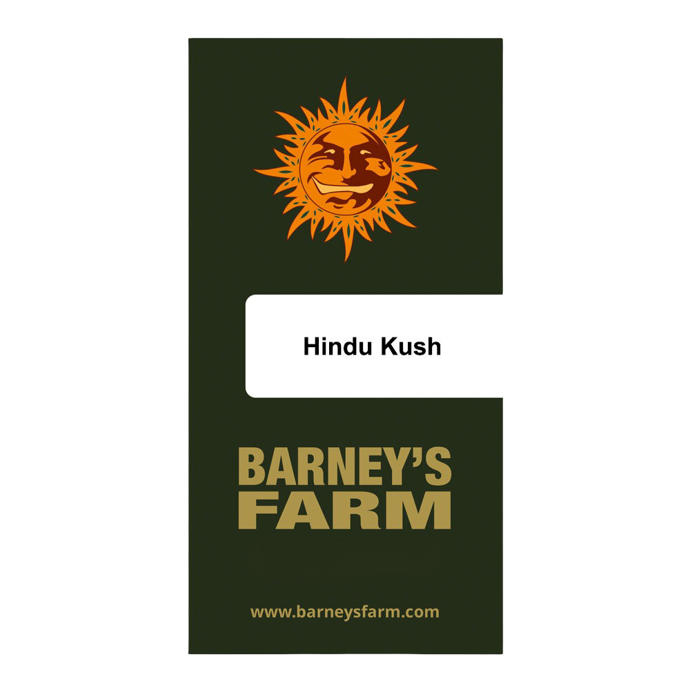 Barney's Farm 3BHK Feminized Cannabis Seeds