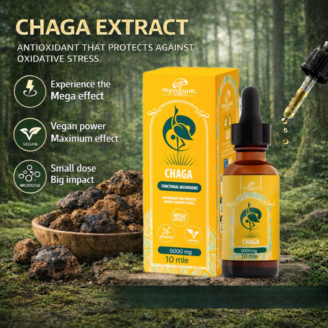 Multi-I OCHAGA-B Myxilluim Functional Mushrooms