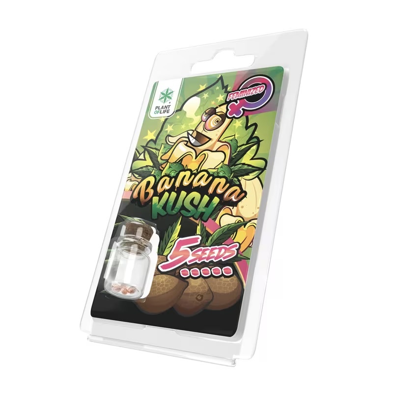 Plant of Life 5 Seeds Pack - Premium Wholesale